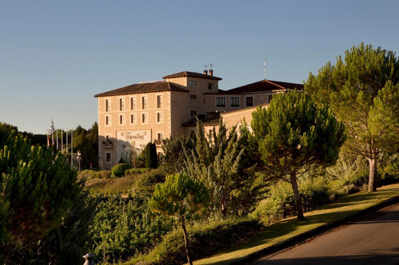 Hotel Torremilanos Aranda de Duero Dış mekan fotoğraf