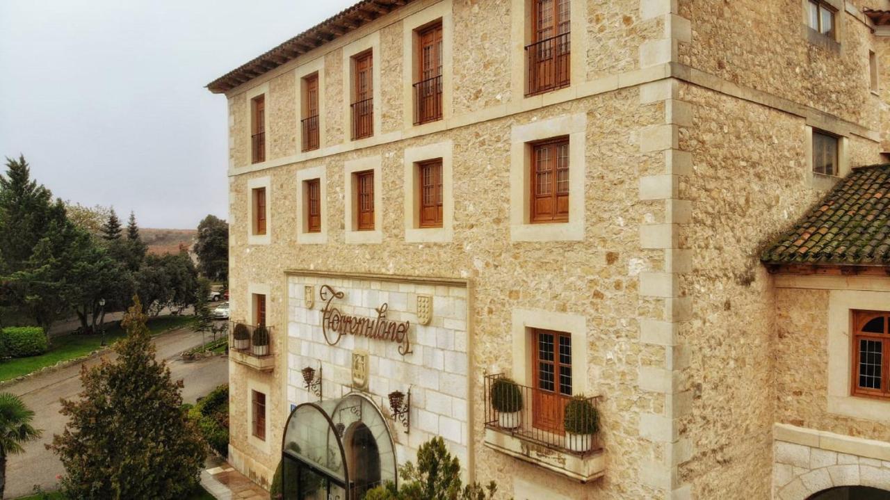 Hotel Torremilanos Aranda de Duero Dış mekan fotoğraf