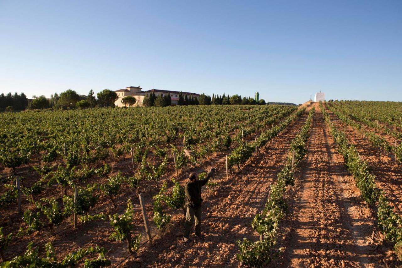 Hotel Torremilanos Aranda de Duero Dış mekan fotoğraf