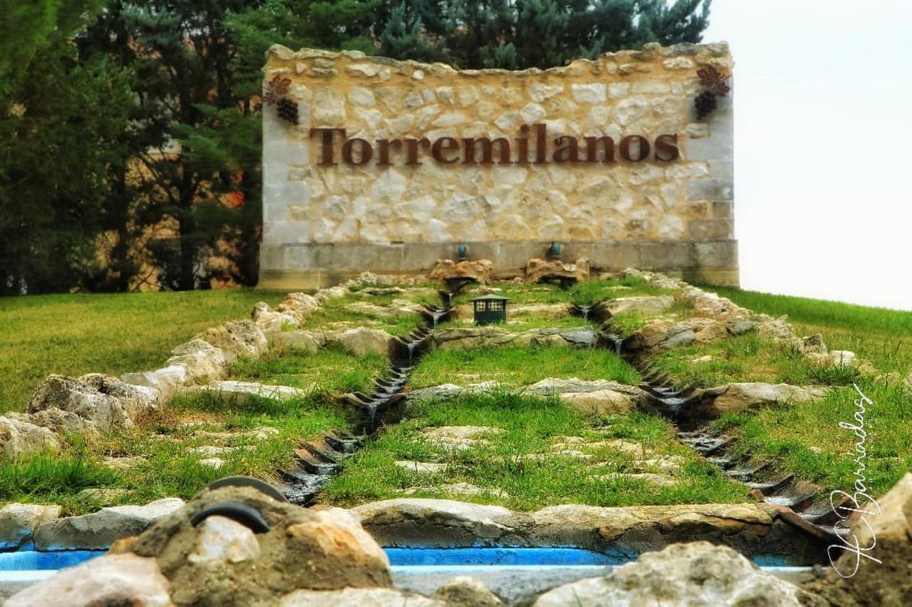 Hotel Torremilanos Aranda de Duero Dış mekan fotoğraf